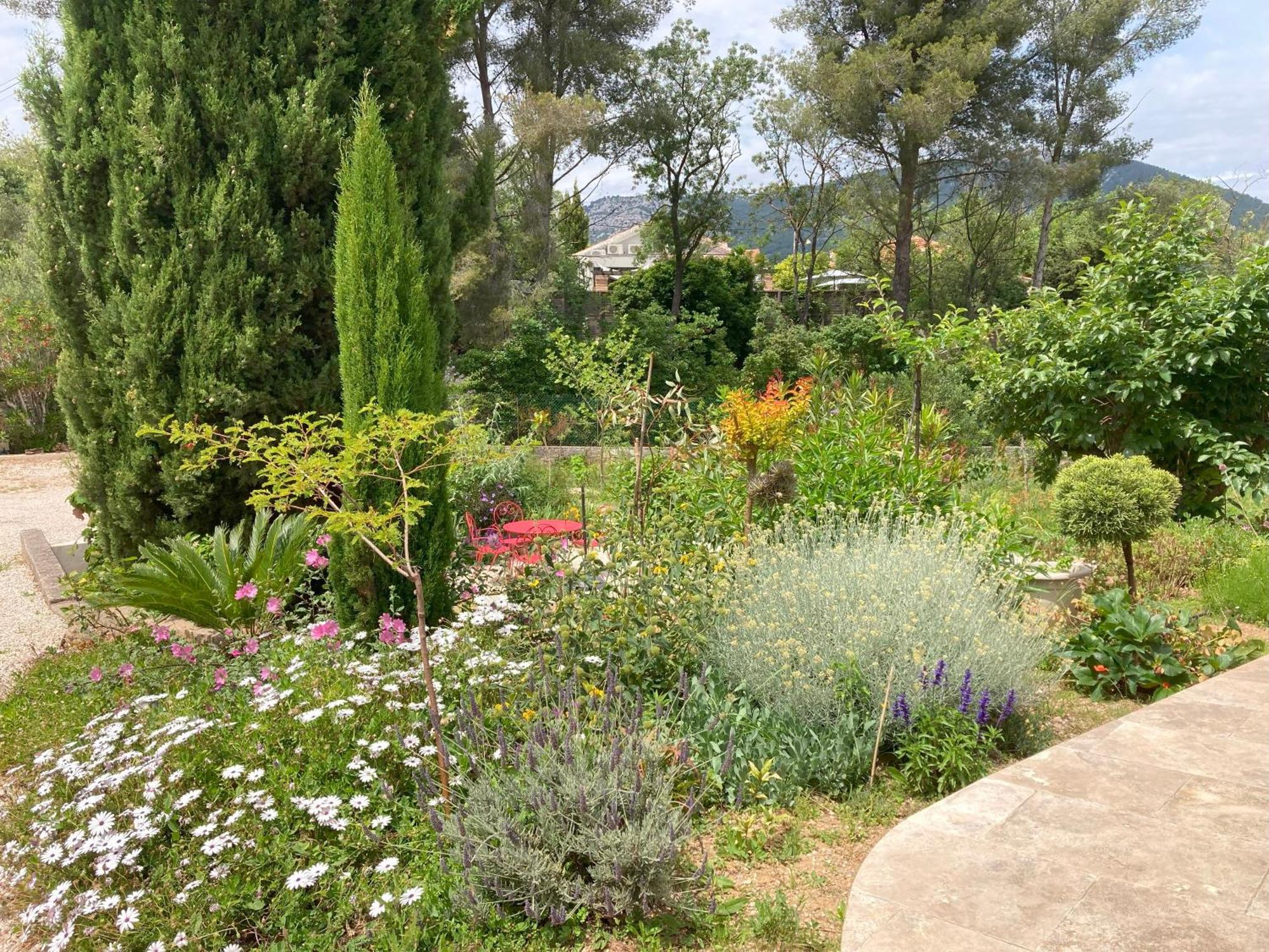 Haut De Villa Avec Terrasse Privative Jardin Et Parking Tout Pres Des Plages Toulon Exterior foto