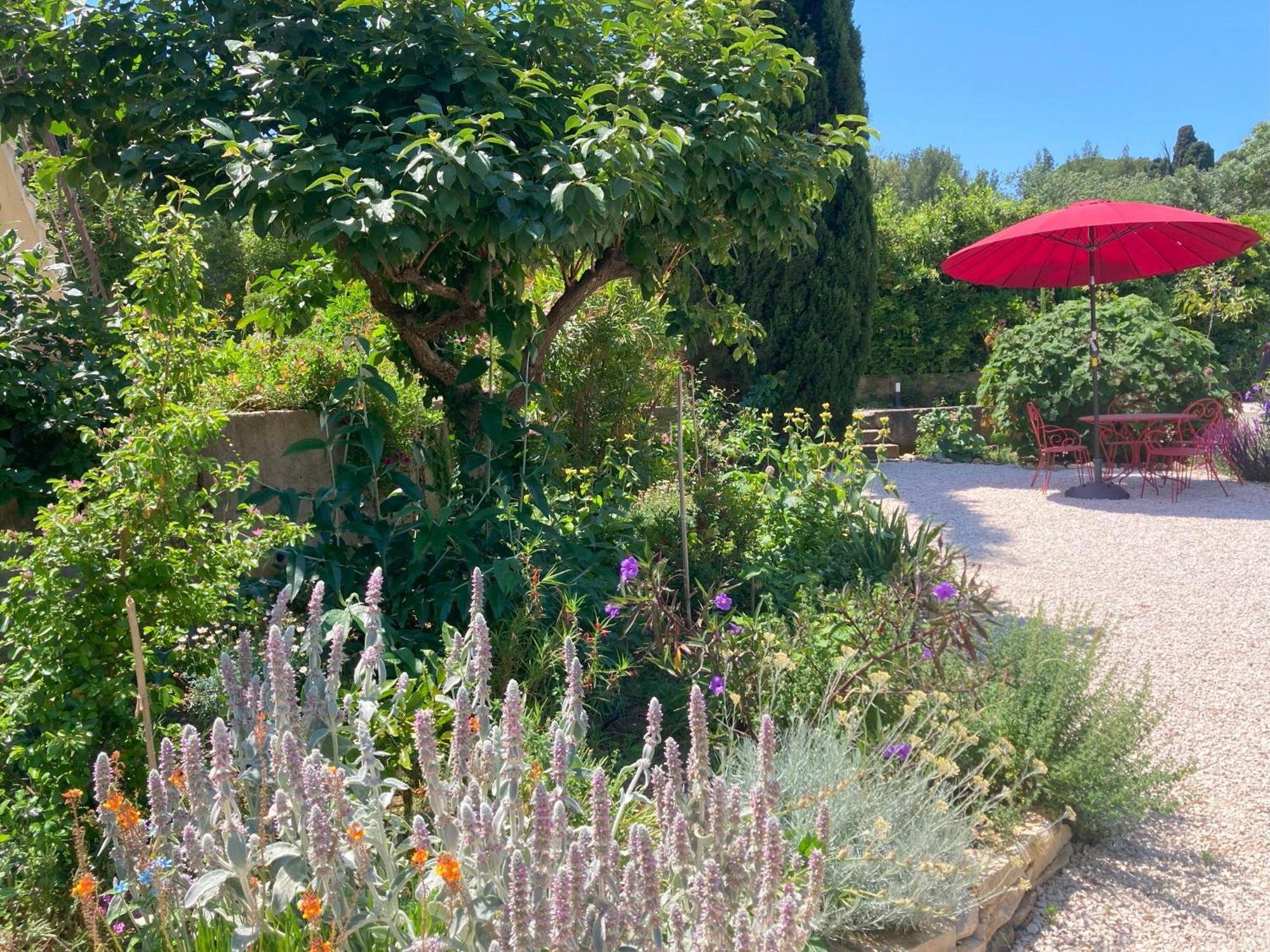 Haut De Villa Avec Terrasse Privative Jardin Et Parking Tout Pres Des Plages Toulon Exterior foto